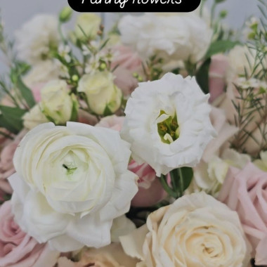 Desktop Gallery Entry 16