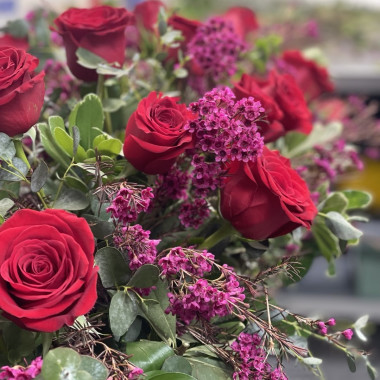 Desktop Gallery Entry 14