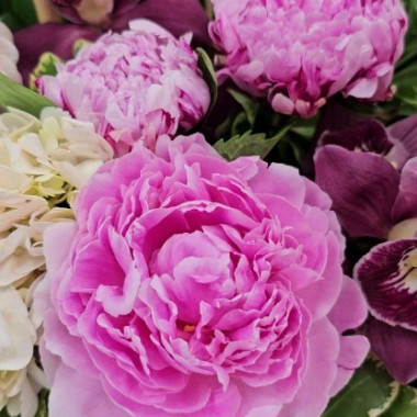 Desktop Gallery Entry 13