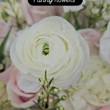 Desktop Gallery Entry 12