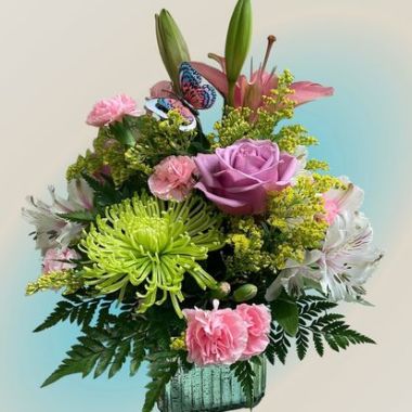 Desktop Gallery Entry 19