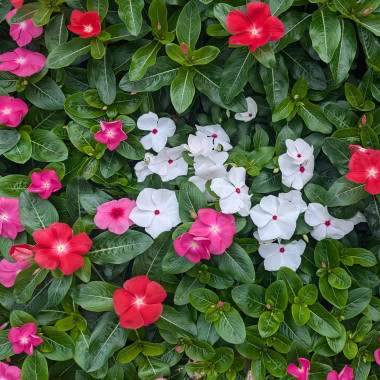 Desktop Gallery Entry 12