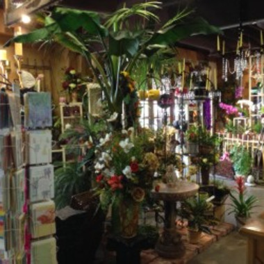 Desktop Gallery Entry 1