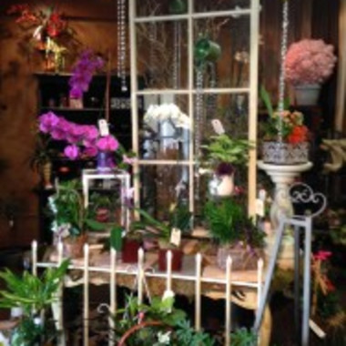 Desktop Gallery Entry 4