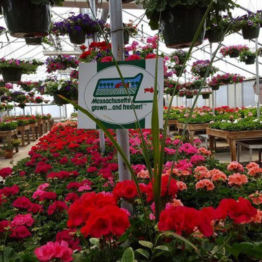 Desktop Gallery Entry 1