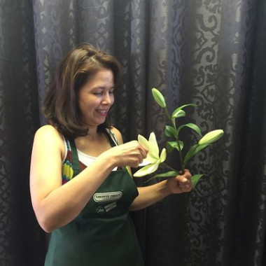 Desktop Gallery Entry 15