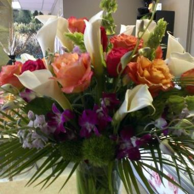 Desktop Gallery Entry 16