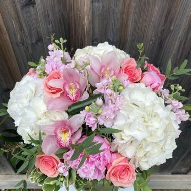 Desktop Gallery Entry 2