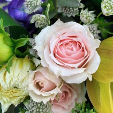 Desktop Gallery Entry 12