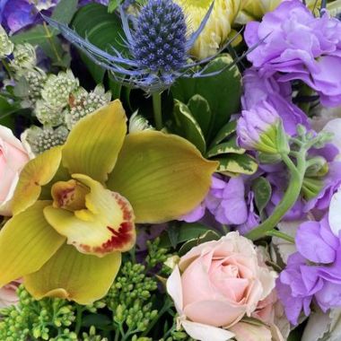 Desktop Gallery Entry 14