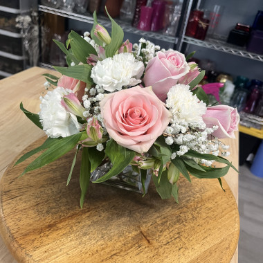 Desktop Gallery Entry 5