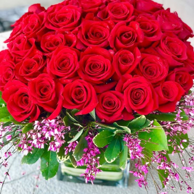 Desktop Gallery Entry 13