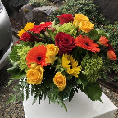 Desktop Gallery Entry 14