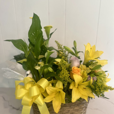 Desktop Gallery Entry 6