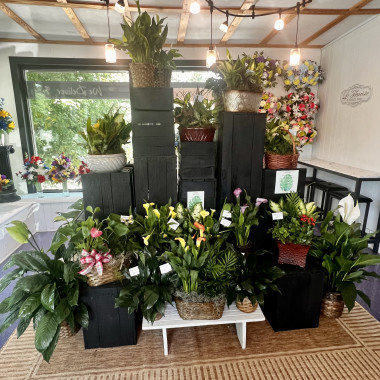 Desktop Gallery Entry 8