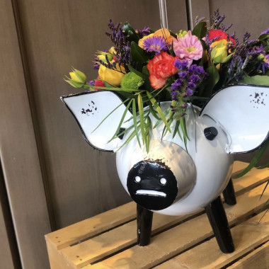 Desktop Gallery Entry 19