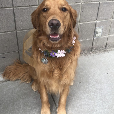 Desktop Gallery Entry 15