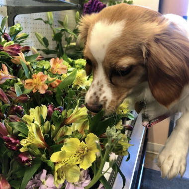 Desktop Gallery Entry 9