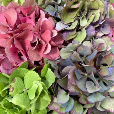 Desktop Gallery Entry 3