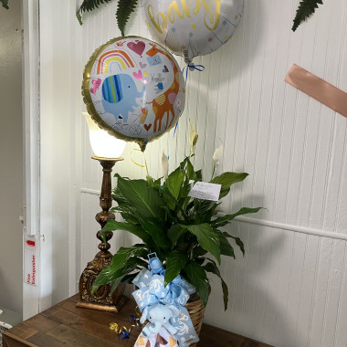 Desktop Gallery Entry 12