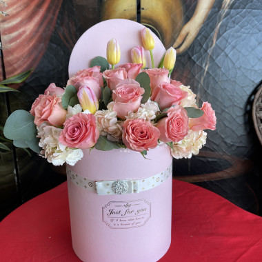 Desktop Gallery Entry 19