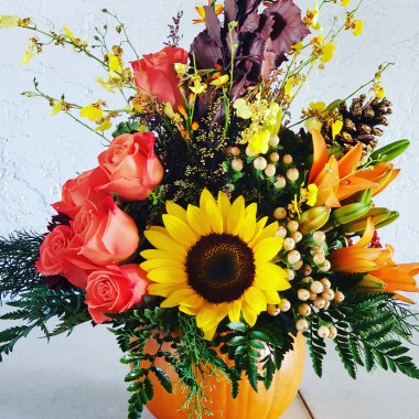 Desktop Gallery Entry 11