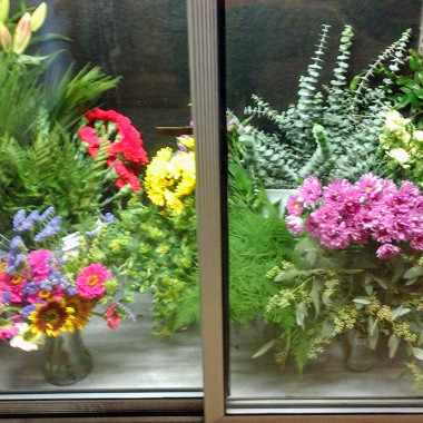 Desktop Gallery Entry 7