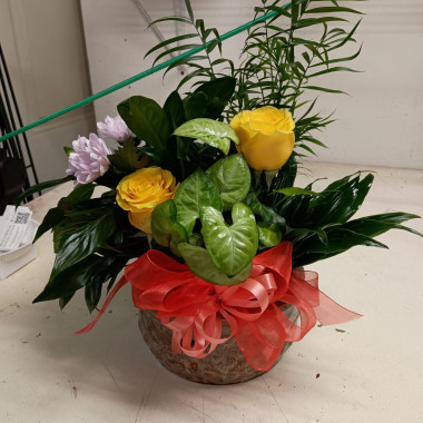 Desktop Gallery Entry 2