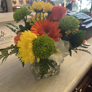 Desktop Gallery Entry 7