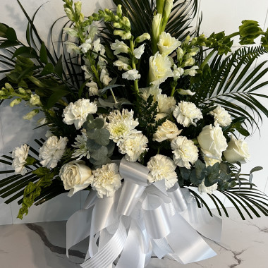 Desktop Gallery Entry 11