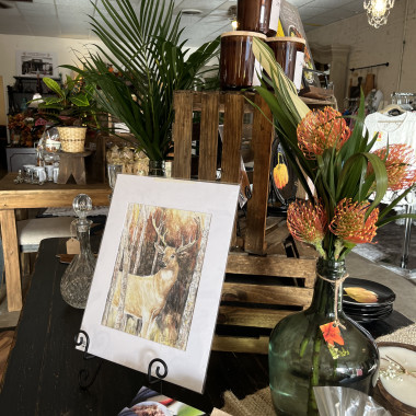 Desktop Gallery Entry 11