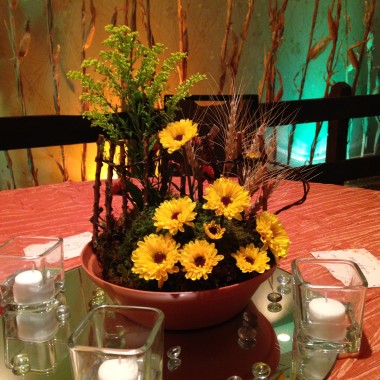 Desktop Gallery Entry 14