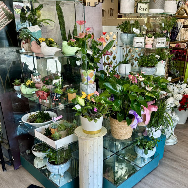 Desktop Gallery Entry 4