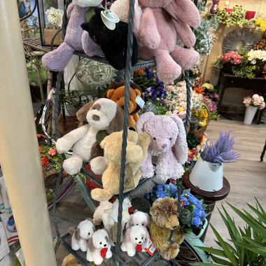 Desktop Gallery Entry 2