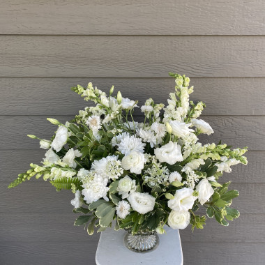 Desktop Gallery Entry 6