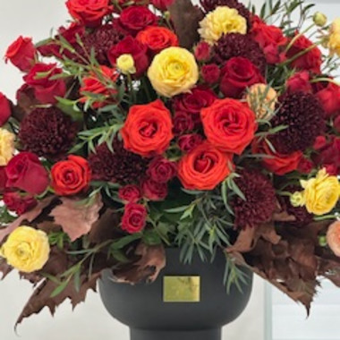 Desktop Gallery Entry 2