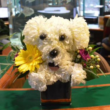 Desktop Gallery Entry 10