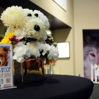 Desktop Gallery Entry 0