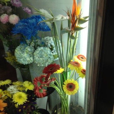 Desktop Gallery Entry 0