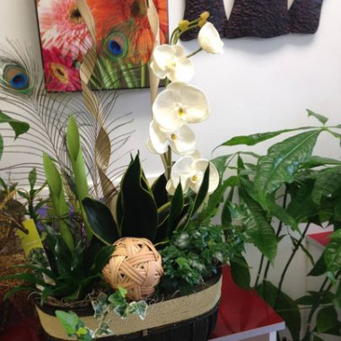 Desktop Gallery Entry 1