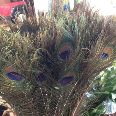 Desktop Gallery Entry 5