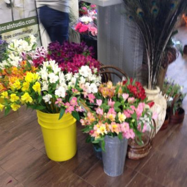 Desktop Gallery Entry 10