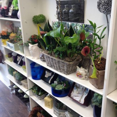 Desktop Gallery Entry 11