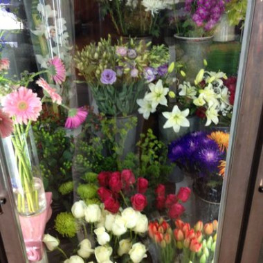 Desktop Gallery Entry 12