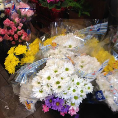 Desktop Gallery Entry 15