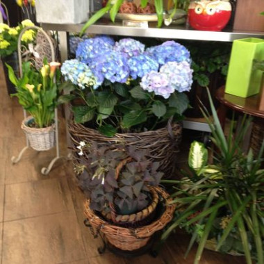 Desktop Gallery Entry 16