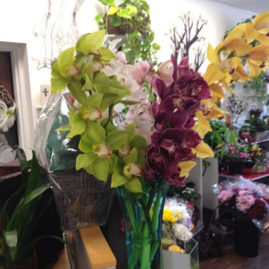 Desktop Gallery Entry 2