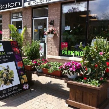 Desktop Gallery Entry 17