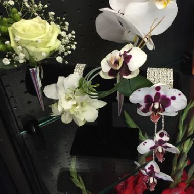 Desktop Gallery Entry 3