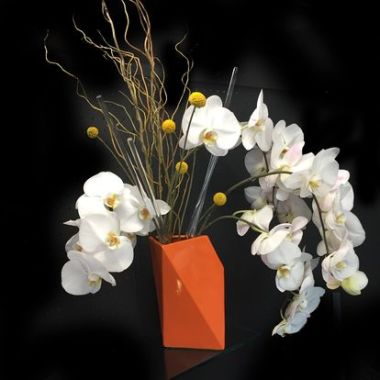 Desktop Gallery Entry 4